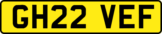GH22VEF