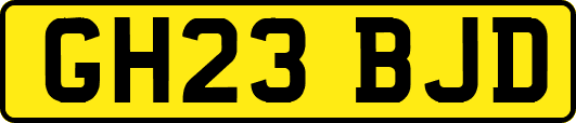 GH23BJD