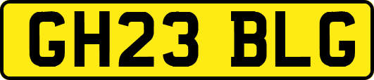 GH23BLG