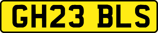 GH23BLS