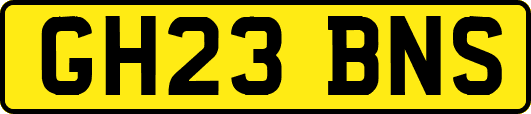 GH23BNS