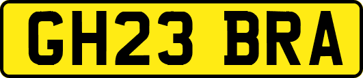 GH23BRA