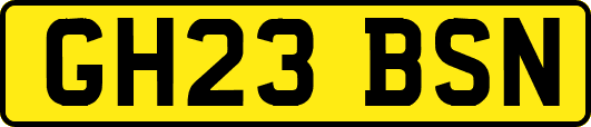 GH23BSN