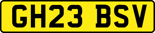 GH23BSV