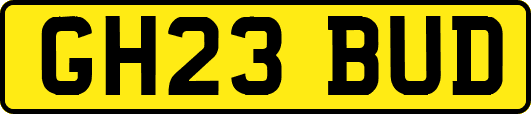 GH23BUD