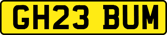 GH23BUM