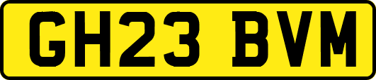 GH23BVM
