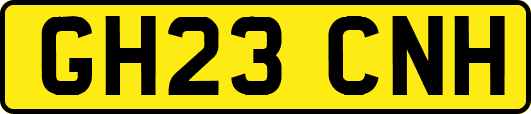 GH23CNH