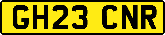 GH23CNR