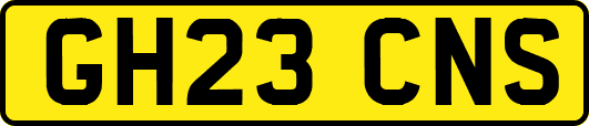 GH23CNS
