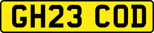 GH23COD