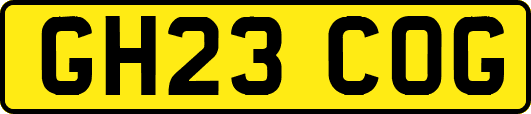 GH23COG