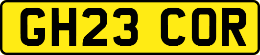 GH23COR