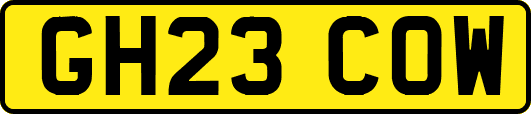 GH23COW
