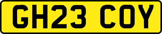 GH23COY