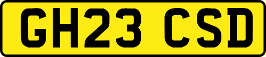 GH23CSD