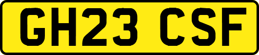 GH23CSF