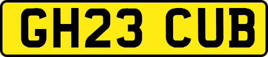 GH23CUB