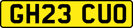 GH23CUO