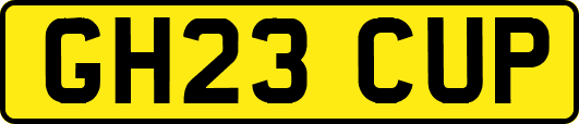 GH23CUP