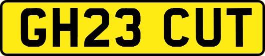 GH23CUT