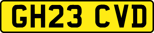 GH23CVD