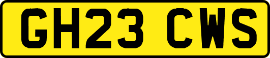 GH23CWS