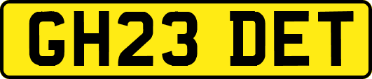 GH23DET