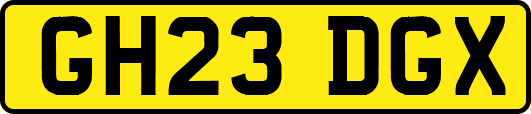 GH23DGX