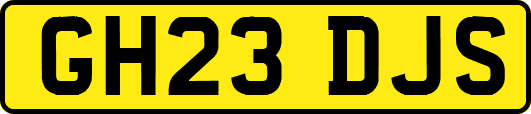 GH23DJS