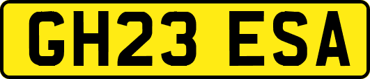 GH23ESA