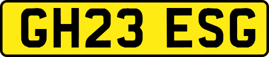 GH23ESG