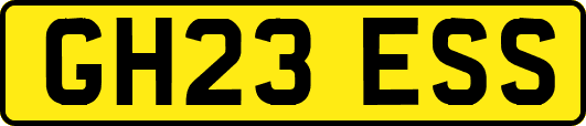 GH23ESS