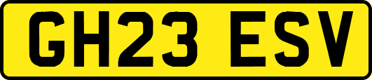 GH23ESV