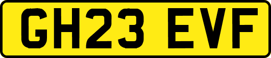 GH23EVF