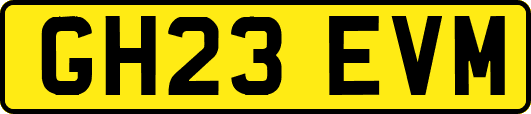 GH23EVM