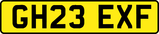 GH23EXF