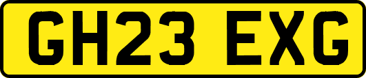 GH23EXG