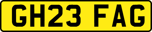 GH23FAG
