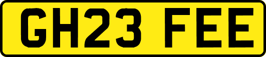 GH23FEE