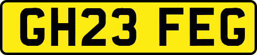 GH23FEG