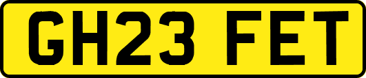 GH23FET