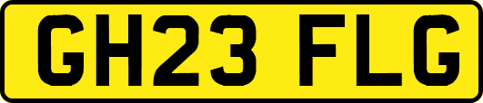 GH23FLG