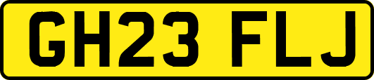 GH23FLJ