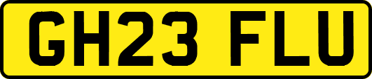 GH23FLU