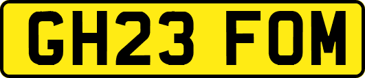 GH23FOM