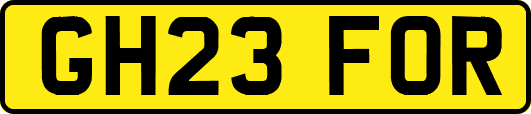 GH23FOR