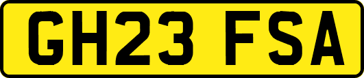 GH23FSA