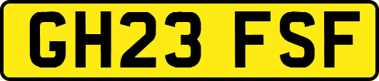 GH23FSF