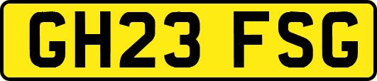 GH23FSG
